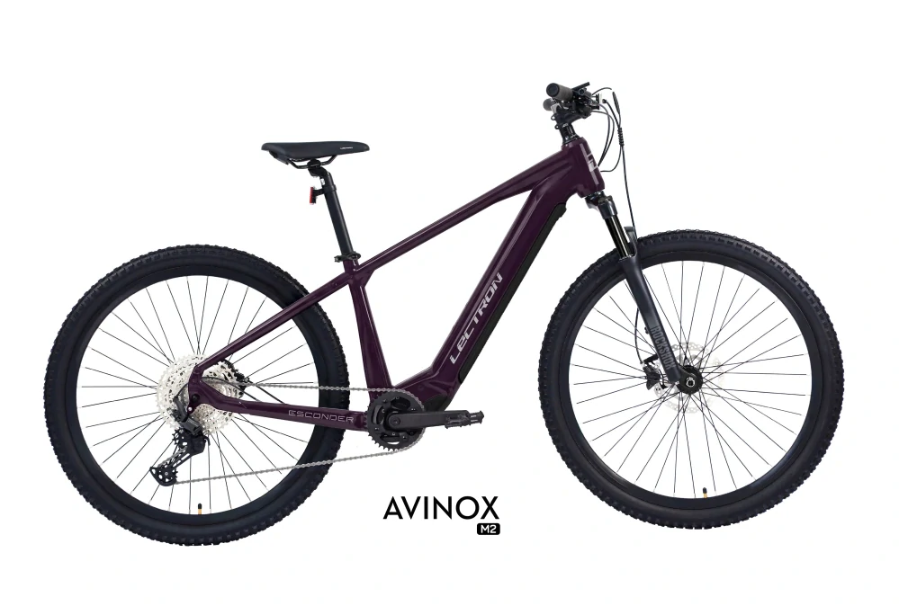 LECTRON Esconder AX 29"