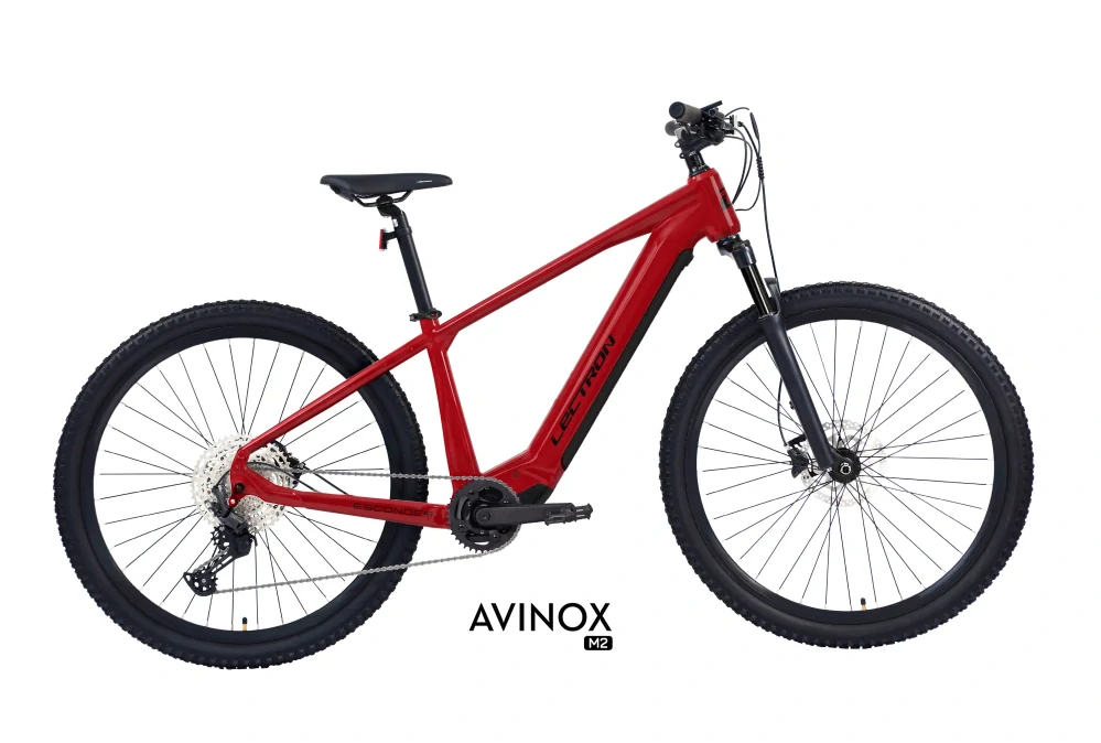 LECTRON Esconder AX 29"
