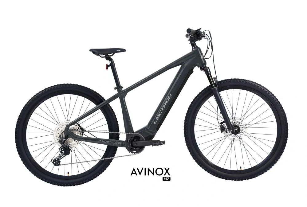 LECTRON Esconder AX 29"