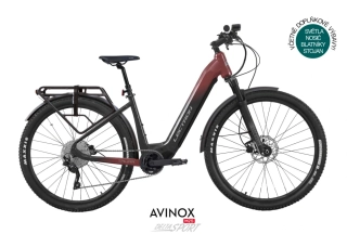LECTRON Taura ARX Pro 29"