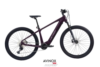 LECTRON Esconder ARX Pro 29"