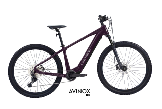 LECTRON Esconder AX 29"