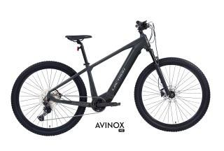 LECTRON Esconder AX 29"